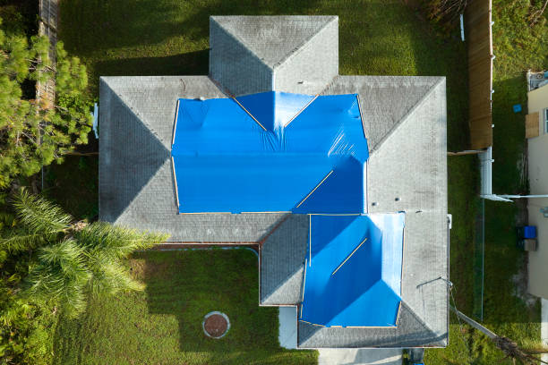 Best Asphalt Shingle Roofing  in Lake Grove, NY